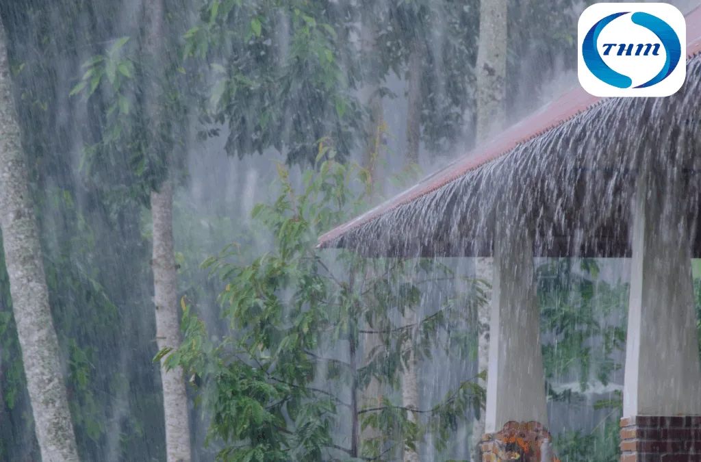 ¿Tu seguro te protege ante las lluvias torrenciales?