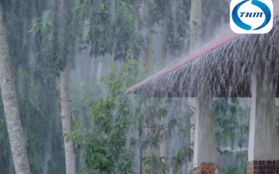 ¿Tu seguro te protege ante las lluvias torrenciales?