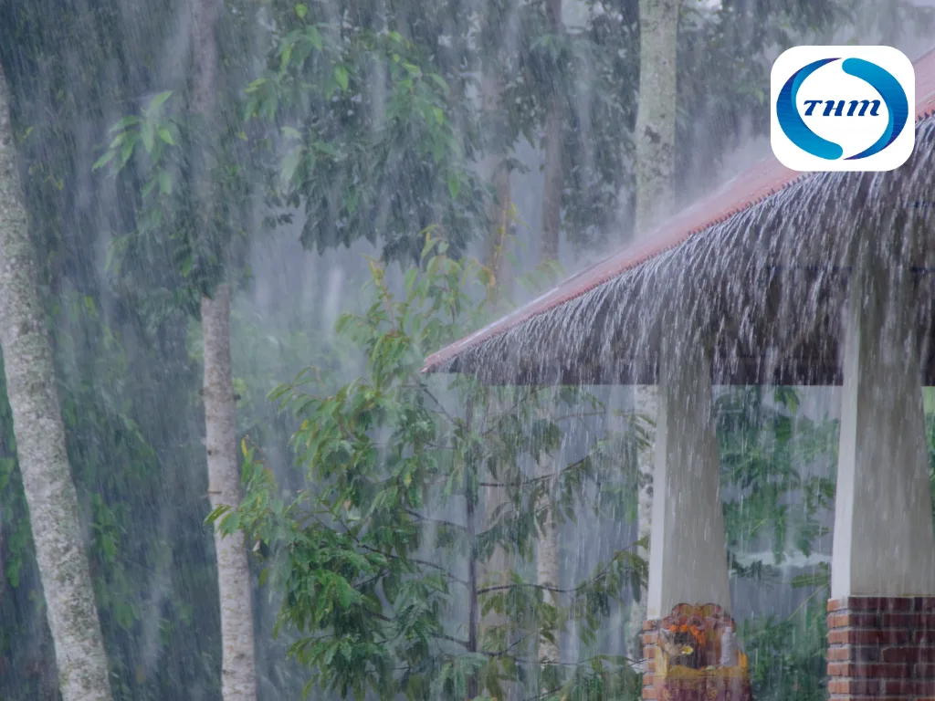 ¿Tu seguro te protege ante las lluvias torrenciales?